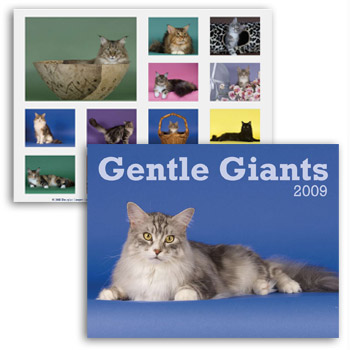 Gentle Giant Calendar Cover