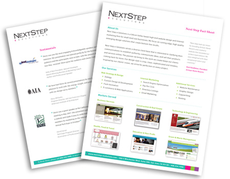 Next Step e-Solutions Informational Sheets